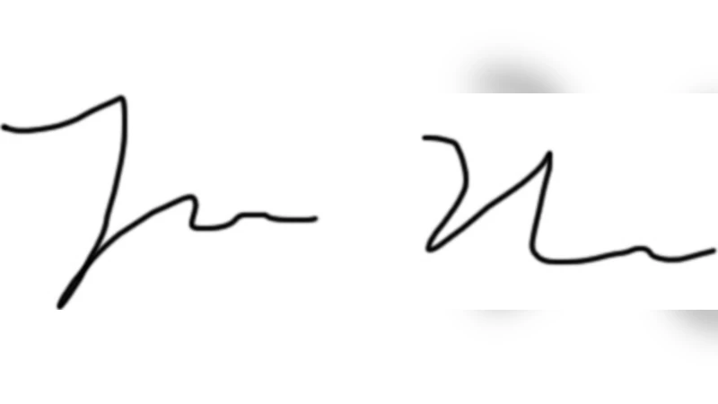 Hidden Markov Models with Multiple Observation Processes