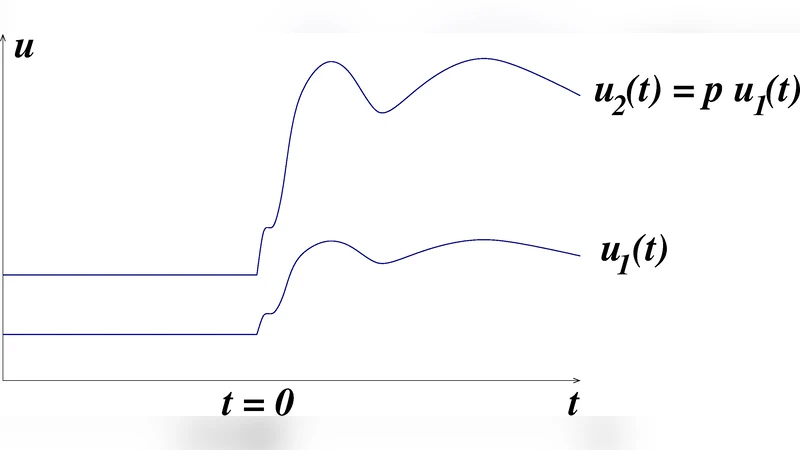 Symmetry invariance for adapting biological systems