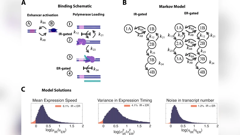 Transcriptional regulation: Effects of promoter proximal pausing on   speed, synchrony and reliability