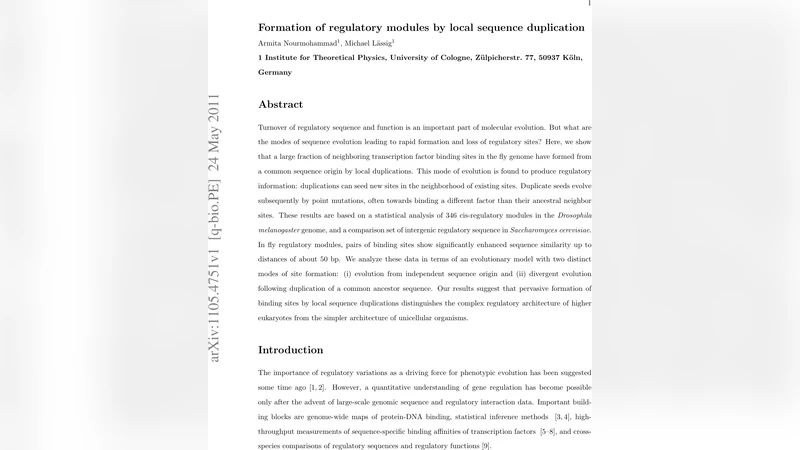 Formation of regulatory modules by local sequence duplication