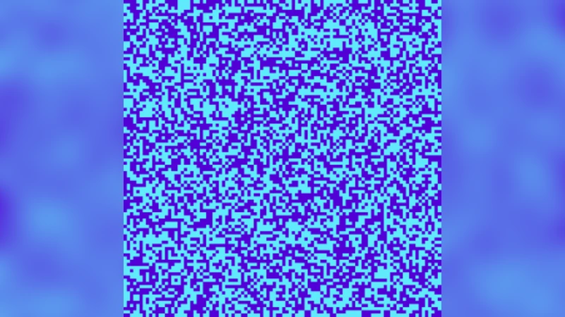 Information Society: Modeling A Complex System With Scarce Data