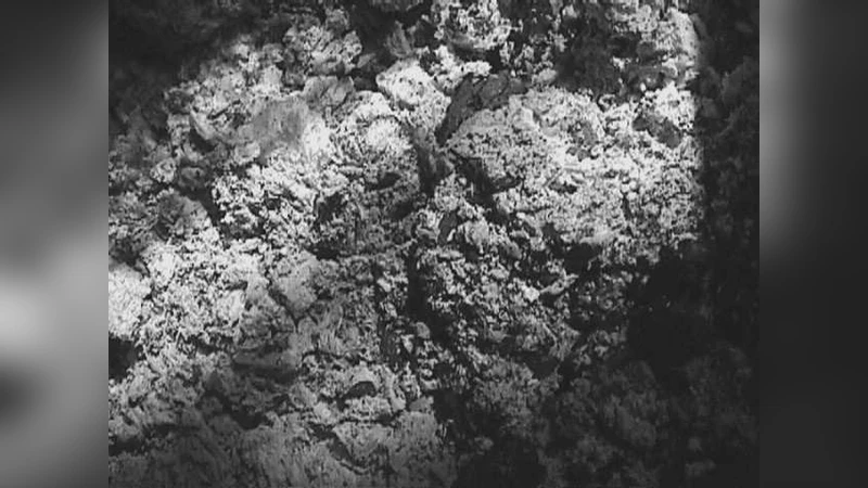 Monoidal computer I: Basic computability by string diagrams