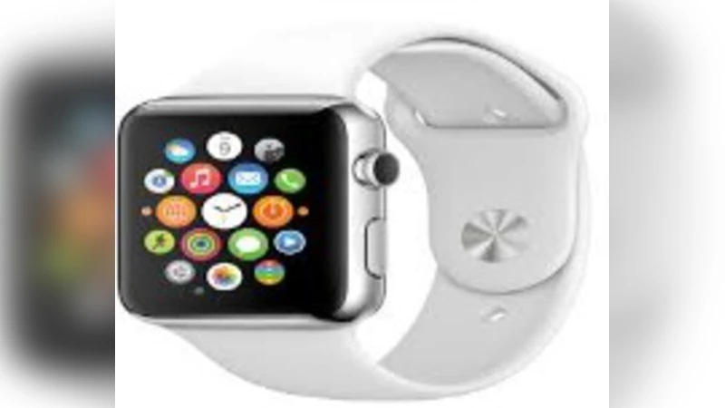 Software for Wearable Devices: Challenges and Opportunities