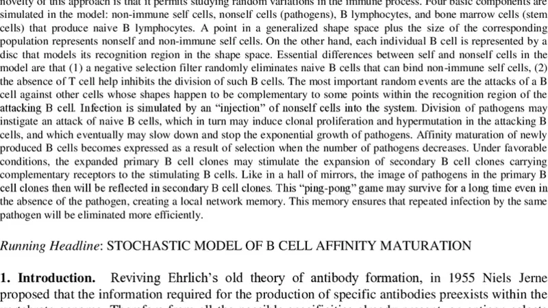 A stochastic model of B cell affinity maturation and a network model of   immune memory