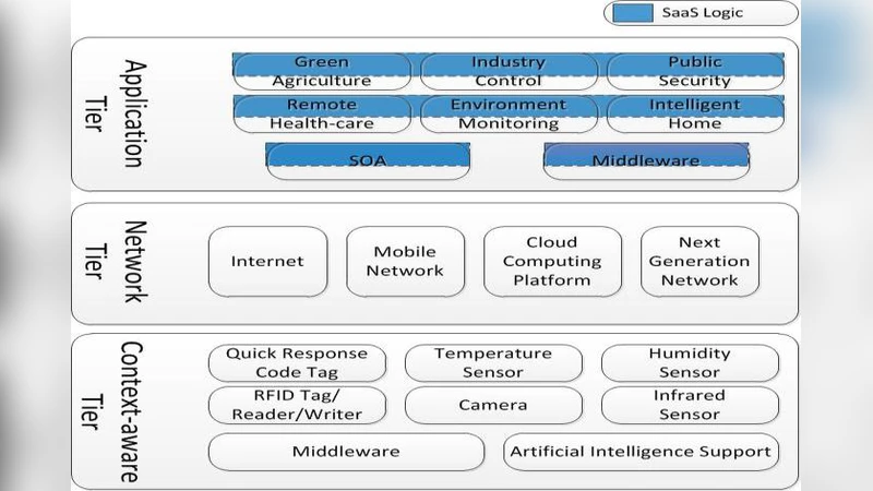 Software as a Service: Analyzing Security Issues
