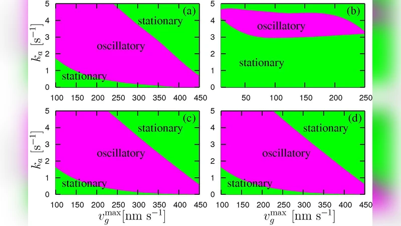 Velocity oscillations in actin-based motility