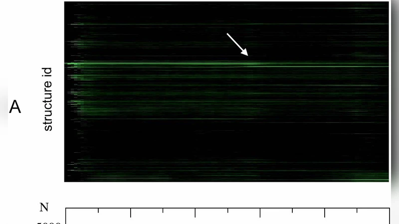 A first-principles model of early evolution: Emergence of gene families,   species and preferred protein folds