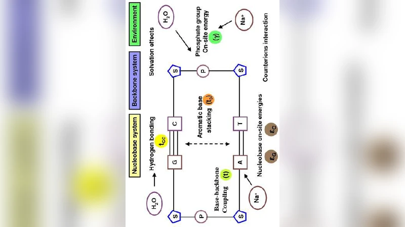 Tight-binding modeling of charge migration in DNA devices