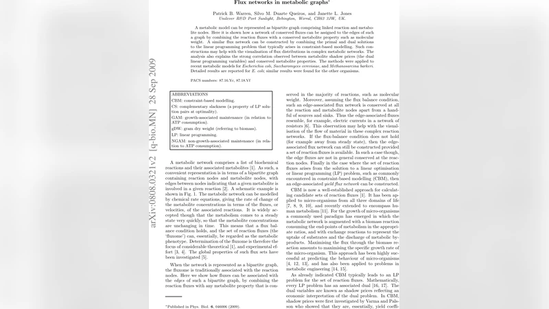 Flux networks in metabolic graphs