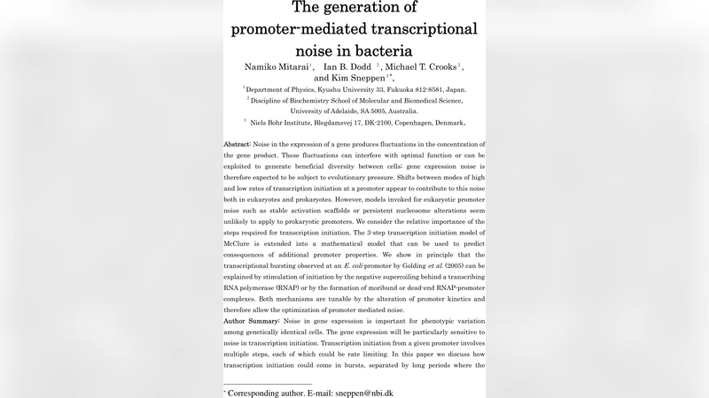 The Generation of Promoter-Mediated Transcriptional Noise in Bacteria