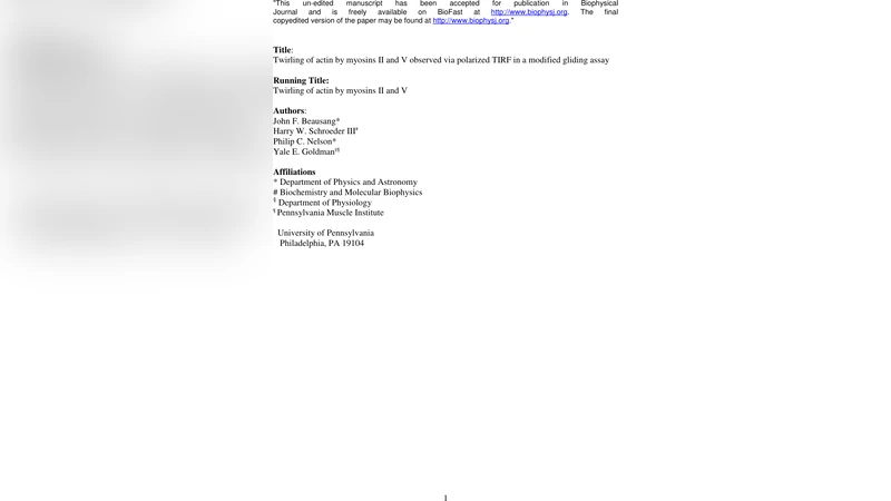 Twirling of actin by myosins II and V observed via polarized TIRF in a   modified gliding assay