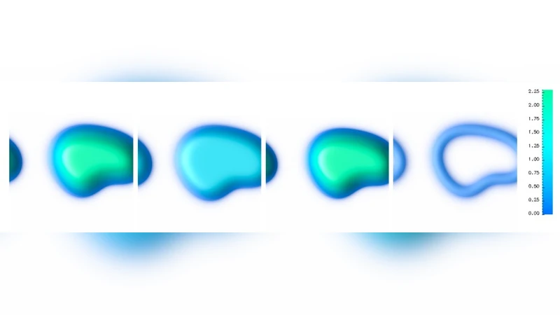 Toward homochiral protocells in noncatalytic peptide systems