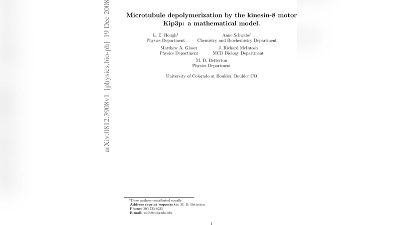 Microtubule depolymerization by the kinesin-8 motor Kip3p: a   mathematical model