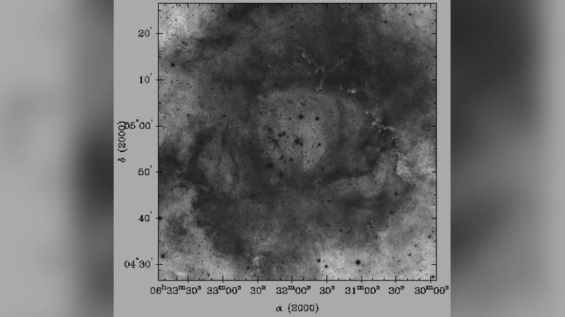 Probing the age and structure of the nearby very young open clusters NGC   2244 and NGC 2239