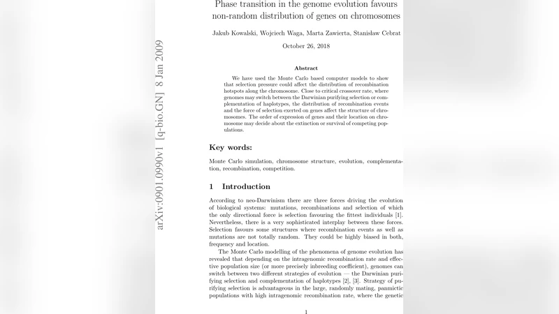 Phase transition in the genome evolution favours non-random distribution   of genes on chromosomes