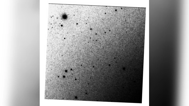 Optical and X-ray Observations of M31N 2007-12b: An Extragalactic   Recurrent Nova with a Detected Progenitor?