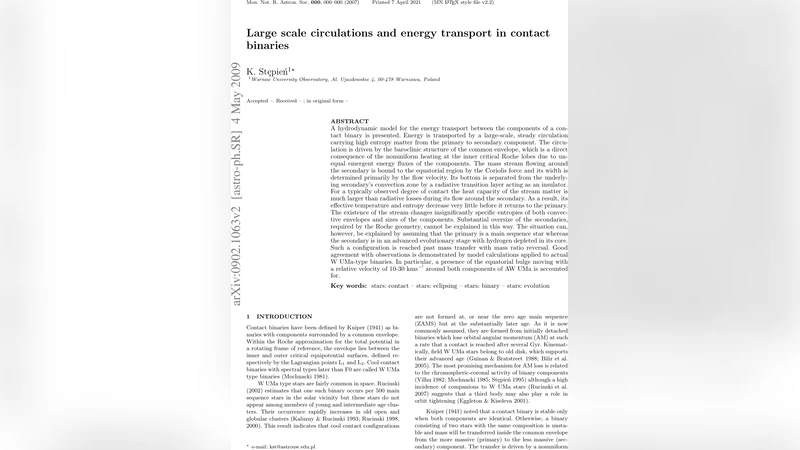 Large scale circulations and energy transport in contact binaries