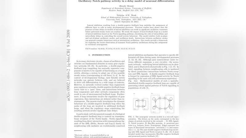 Oscillatory Notch pathway activity in a delay model of neuronal   differentiation