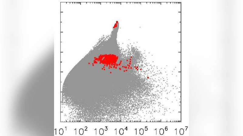Formation of Isolated Dwarf Galaxies with Feedback