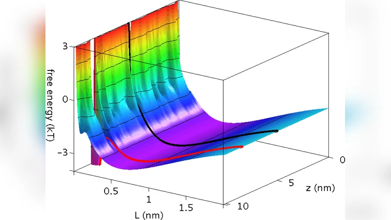 Non-specific DNA-protein interaction: Why proteins can diffuse along DNA
