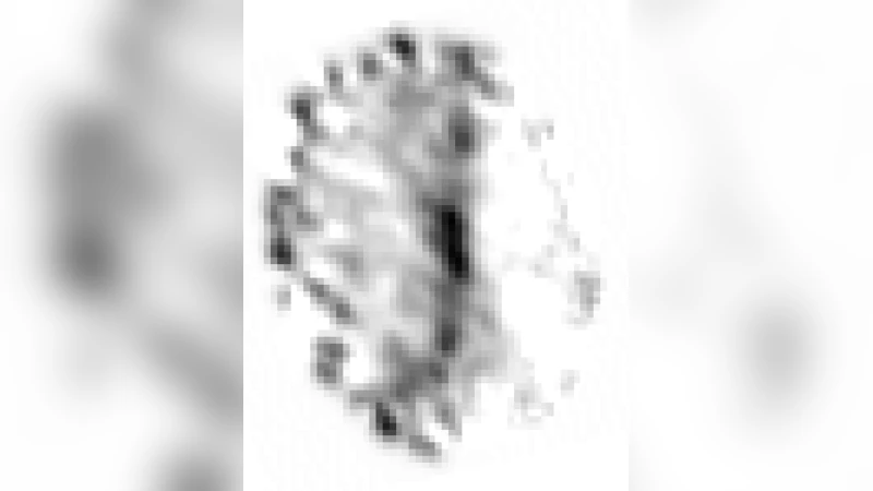 The ionization fraction gradient across the Horsehead edge: An archetype   for molecular clouds