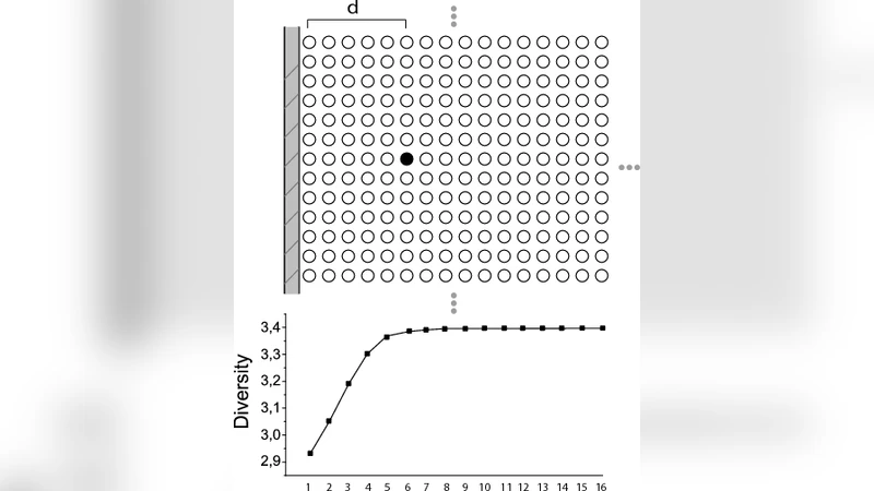 Border Detection in Complex Networks