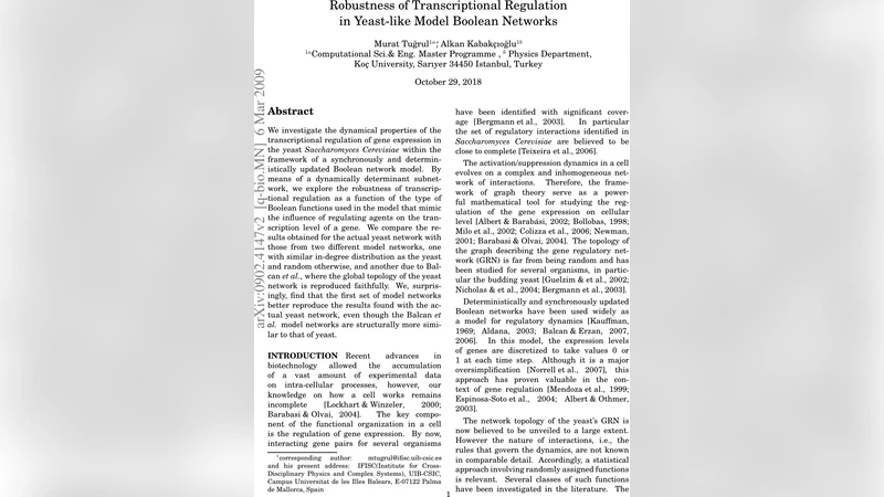 Robustness of Transcriptional Regulation in Yeast-like Model Boolean   Networks