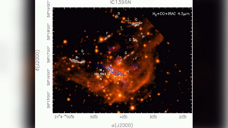 The stellar population and complex structure of the bright-rimmed cloud   IC 1396N