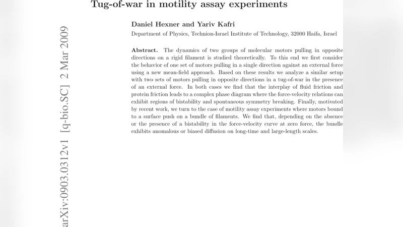 Tug-of-war in motility assay experiments