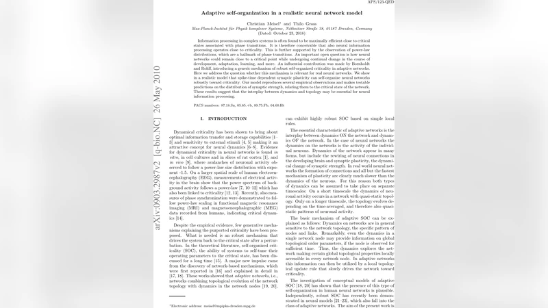 Adaptive self-organization in a realistic neural network model