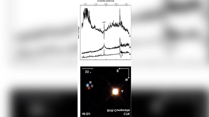 FIASCO - A new Spectrograph at the University Observatory Jena