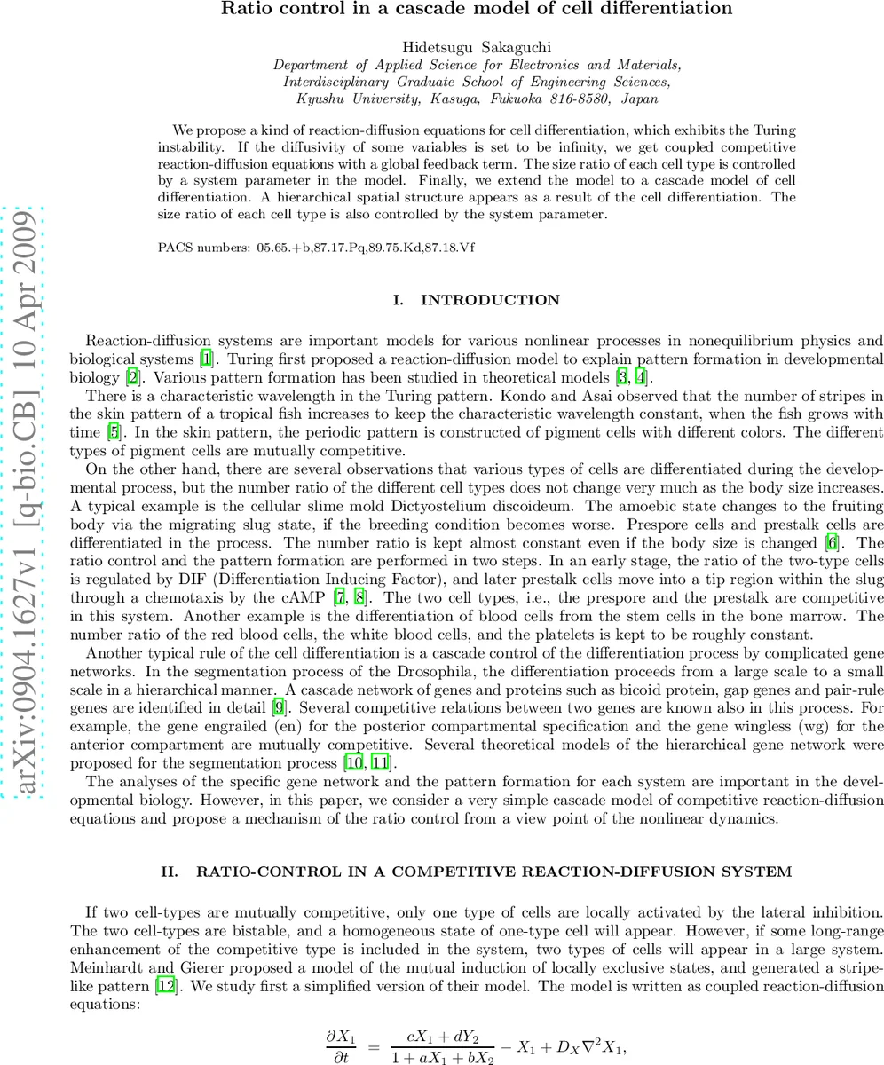 Ratio control in a cascade model of cell differentiation