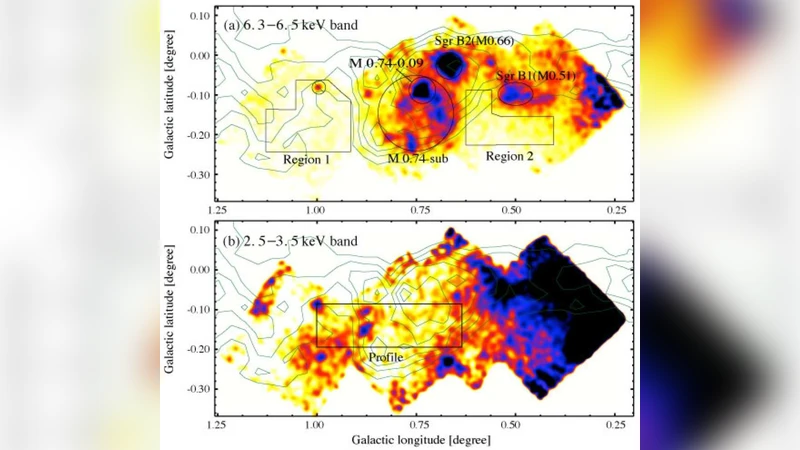An X-Ray Face-on View of the Sgr B Molecular Clouds Observed with Suzaku