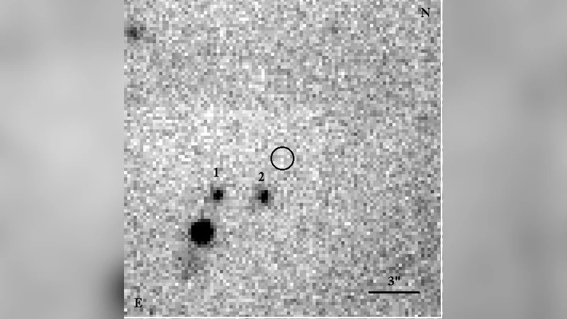 Deep optical observations of the central X-ray source in the Puppis A   supernova remnant