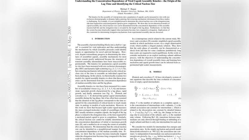 Understanding the Concentration Dependence of Viral Capsid Assembly   Kinetics - the Origin of the Lag Time and Identifying the Critical Nucleus   Size