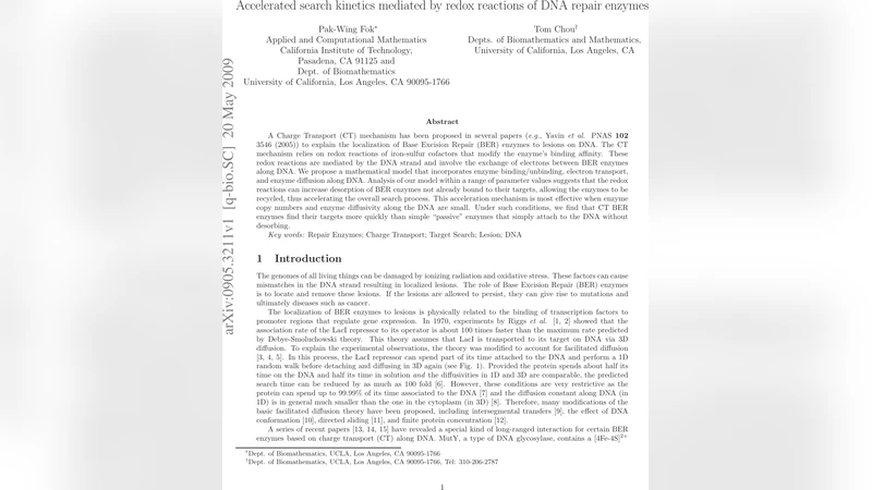 Accelerated search kinetics mediated by redox reactions of DNA repair   enzymes
