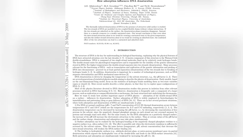 How adsorption influences DNA denaturation