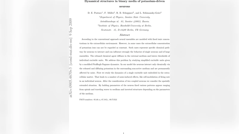 Dynamical structures in binary media of potassium-driven neurons