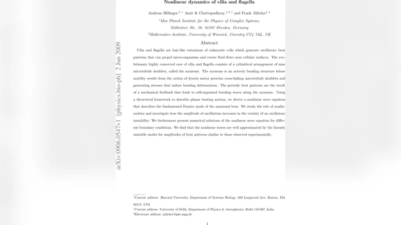 Nonlinear Dynamics of Cilia and Flagella