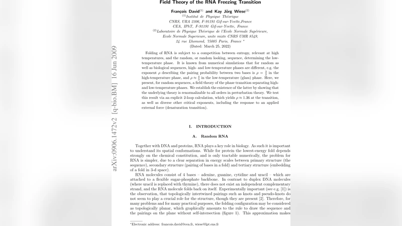 Field Theory of the RNA Freezing Transition