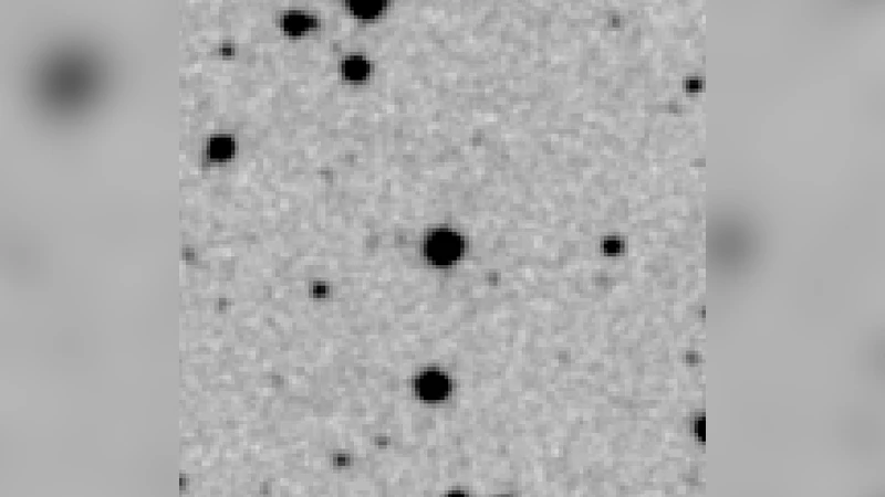 A Fine-Grained Classification of the Complexity of Evaluating the Tutte Polynomial on Integer Points Parameterized by Treewidth and Cutwidth