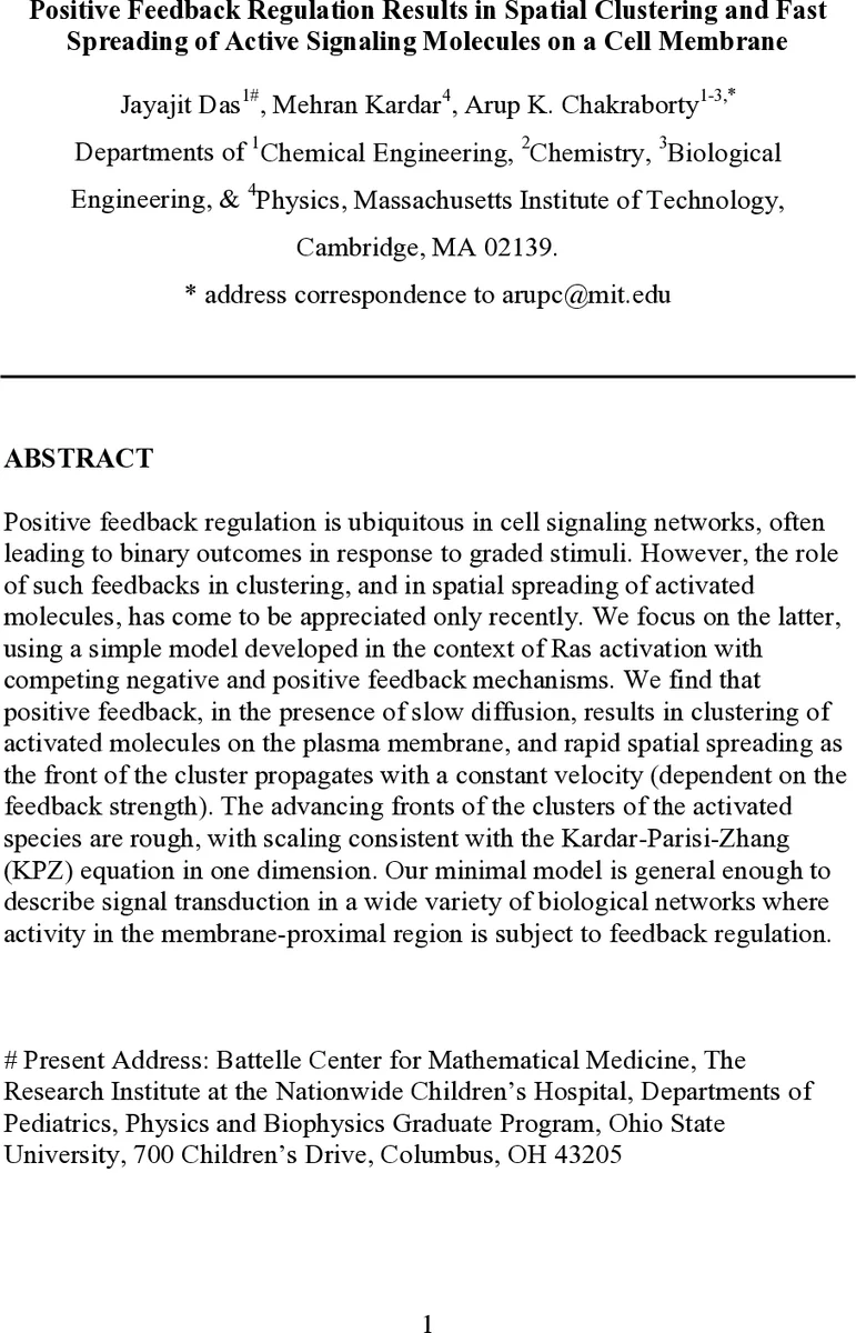 Positive Feedback Regulation Results in Spatial Clustering and Fast   Spreading of Active Signaling Molecules on a Cell Membrane
