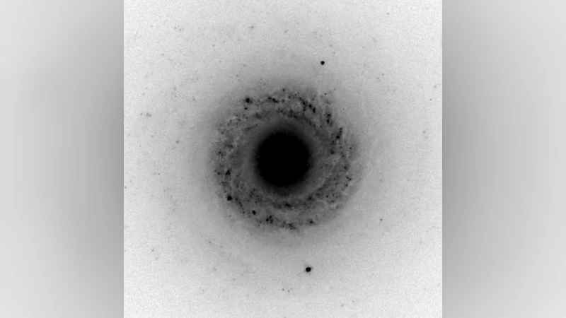3D spectroscopic study of galactic rings: formation and kinematics