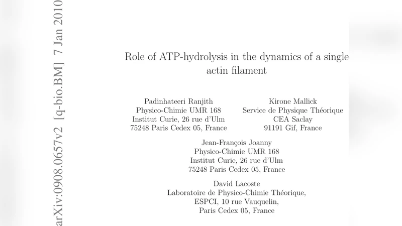 Role of ATP-hydrolysis in the dynamics of a single actin filament