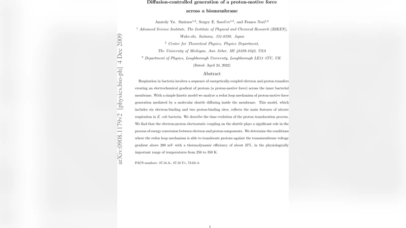 Diffusion-controlled generation of a proton-motive force across a   biomembrane