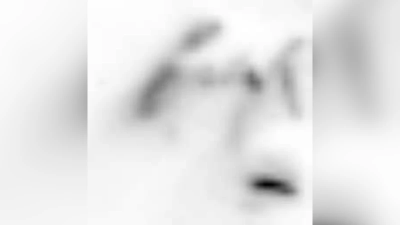 Submillimeter and X-ray observations of an X Class flare