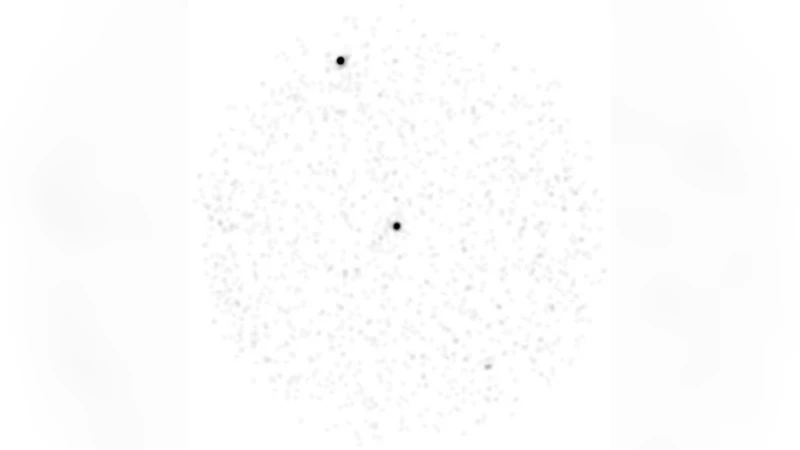 Radio detection of LAT PSRs J1741-2054 and J2032+4127: no longer just   gamma-ray pulsars