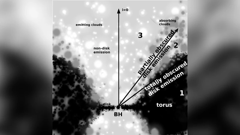 Contribution of a Disk Component to Single Peaked Broad Lines of Active   Galactic Nuclei