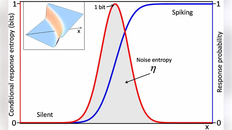 Maximally informative pairwise interactions in networks