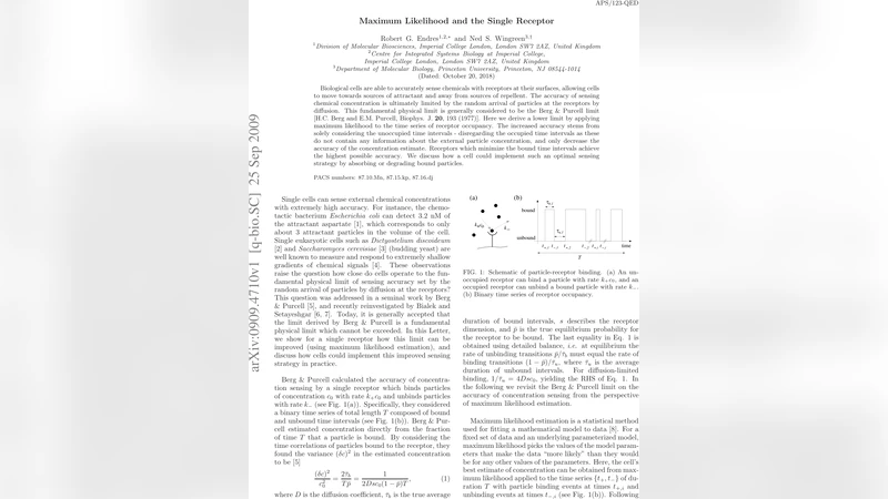 Maximum likelihood and the single receptor